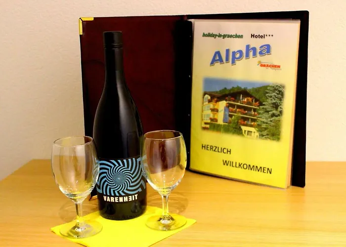 Apartment Alpha Grachen