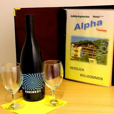 Appartement Alpha Grächen