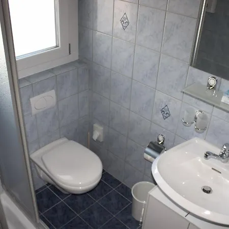 Apartament Alpha Grächen