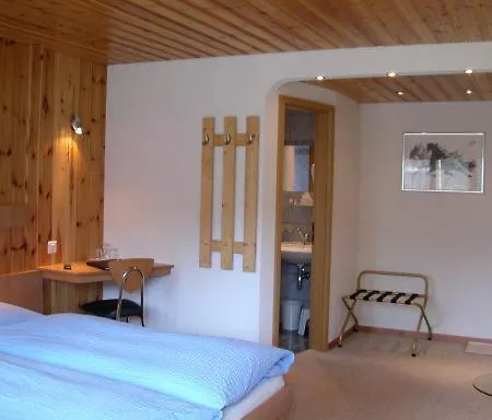 Apartament Alpha Grächen